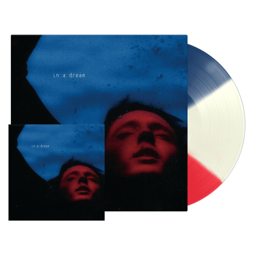 Troye Sivan vinyl レコード 限定盤 サイン入り Troye Sivan vinyl レコード 限定盤 サイン入り - メルカリ